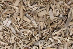 biomass boilers Glandwr