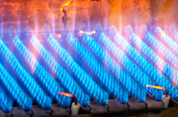 Glandwr gas fired boilers